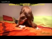 Beastiality Porn Video - Brunette honey gangbanged by a large pooch